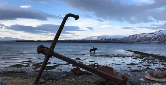 Tromsø: Arctic Horseback Riding Tour by the Sea