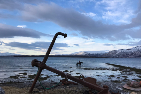 Tromsø: Horseback Riding Tour