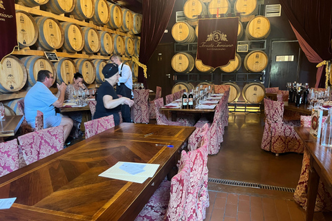 Florence: Pisa, Siena, & San Gimignano Day Trip with Lunch VIP SMALL GROUP