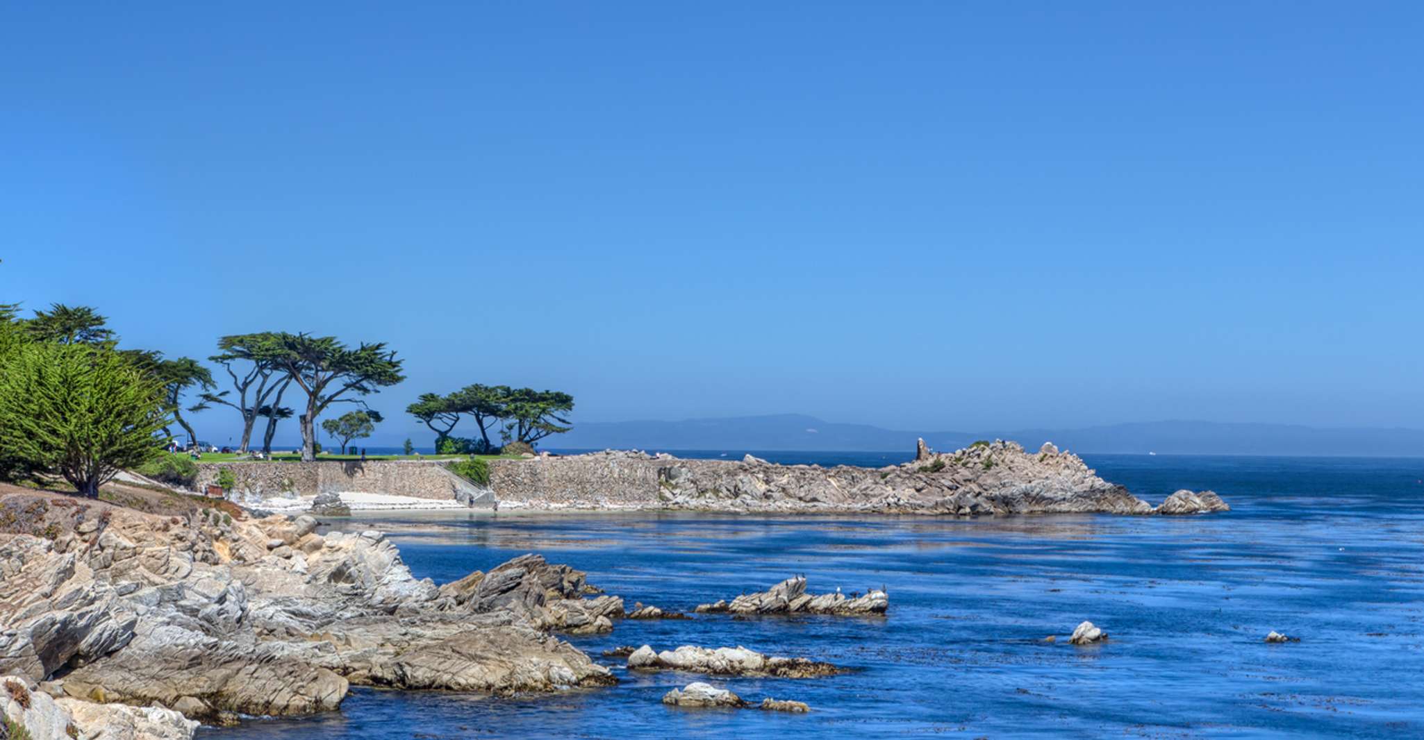 Monterey Peninsula Sightseeing Tour along the 17 Mile Drive - Housity