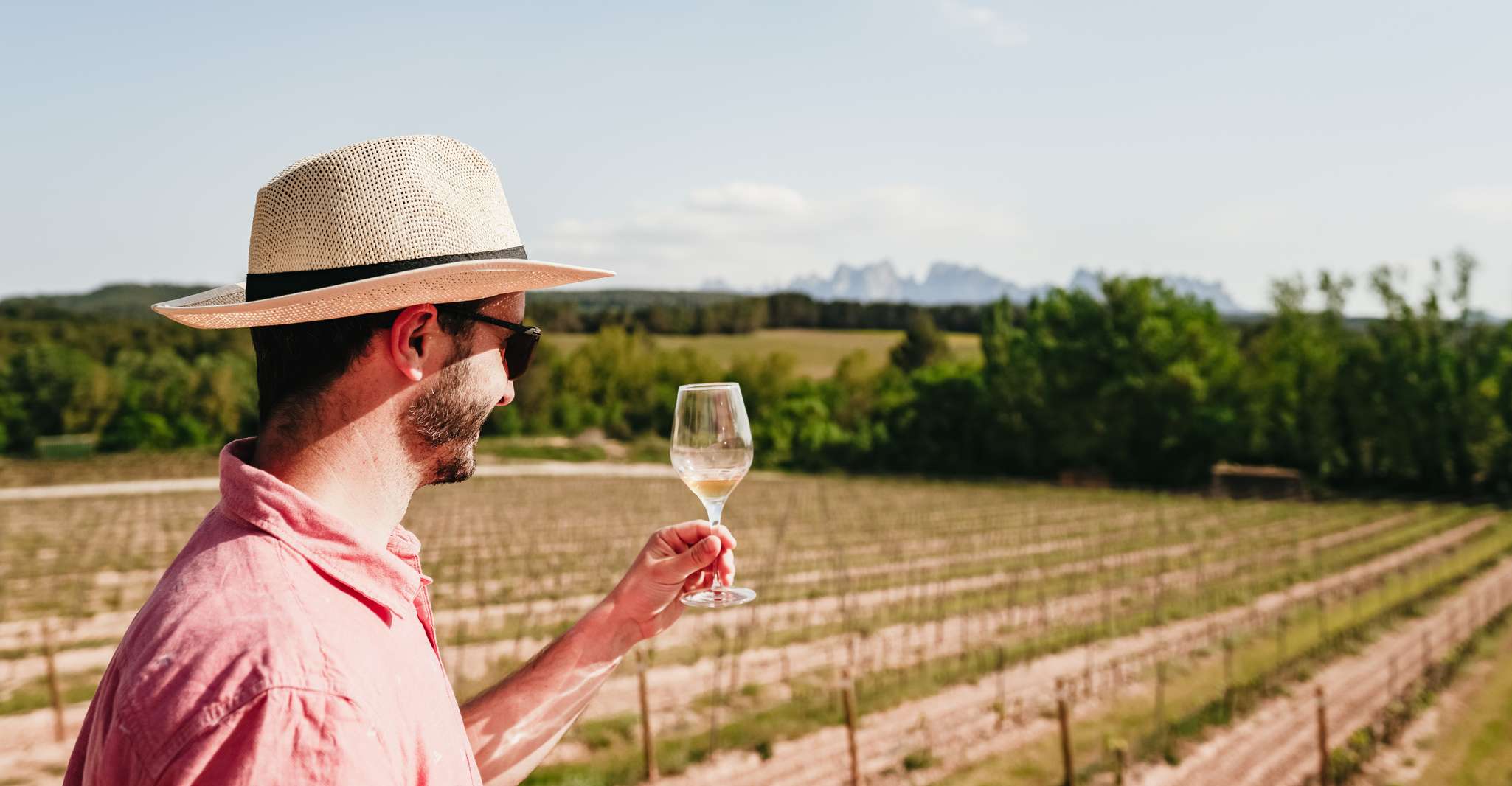 Barcelona: Montserrat, Cogwheel, Black Madonna & Winery Tour photo 8