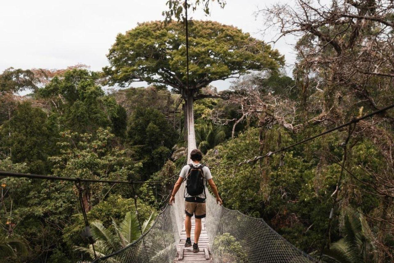 From Puerto Maldonado: 4-Day Amazon Rainforest Tour