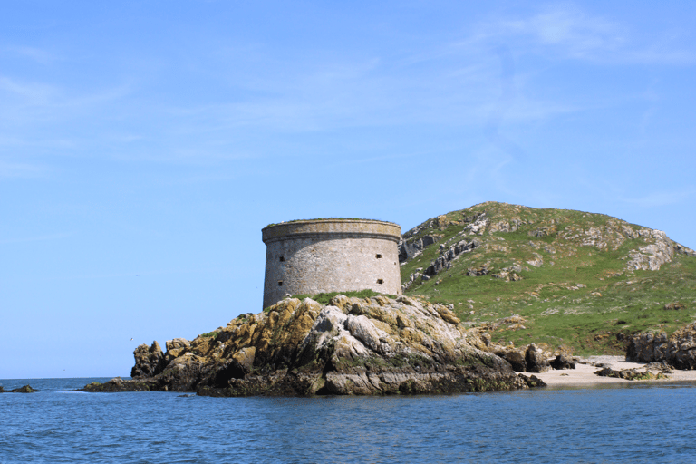 Dublín: Tour en barco por la Bahía de Dublín y el Ojo de Irlanda