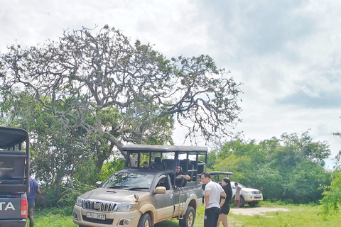 Passeio de safári no Parque Nacional de Yala saindo de Colombo / Galle