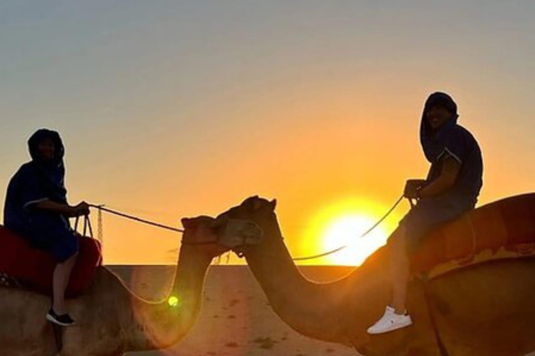 مراكش: ساعة واحدة في صحراء أغافاي مع عرض عشاء