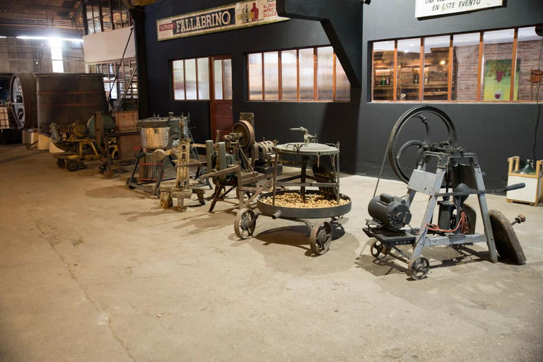 Montevideo: Century-Old Urban Winery Tour & 6-Wine Tasting