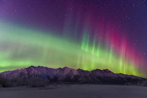Anchorage: Aurora Borealis Northern Lights Photography Tour