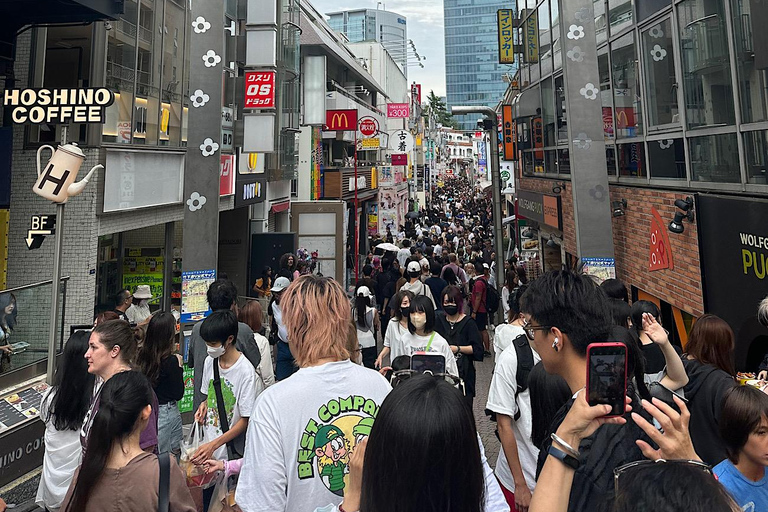 Visite privée de 5 heures de Tokyo Haneda - Layover