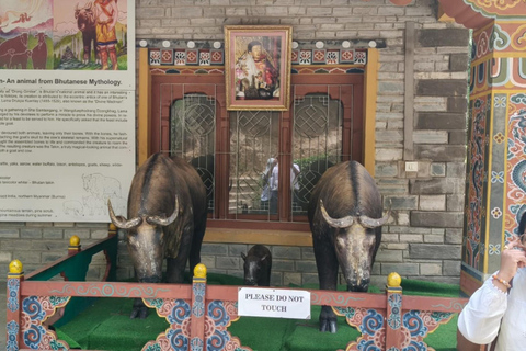 7-Days in Bhutan with River Rafting, Farm Lunch & Stone Bath