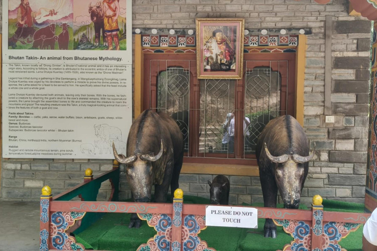 7-Days in Bhutan with River Rafting, Farm Lunch & Stone Bath