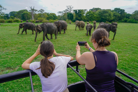 Minneriya National Park Morning Safari – Birds & Elephants