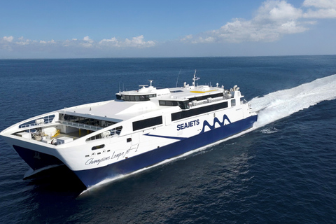 Mykonos: Fast Ferry Journey Between Mykonos and Syros Ferry from Syros Island → Mykonos Island (One Way)