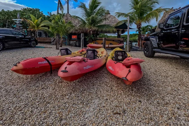 Key West: Mangrove Kayak or SUP Eco Tour Single Kayak