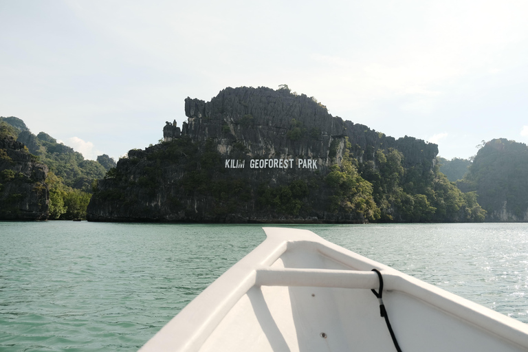 Langkawi : visite privée de 2 heures dans la mangrove avec transfert depuis l&#039;hôtelGroupe de 6 personnes (par bateau)