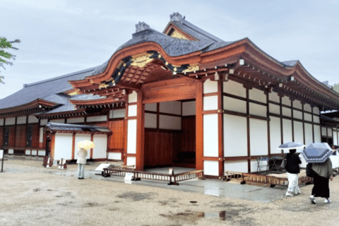 2.5-Hour Nagoya Tour: Castle History, Local Food & City View