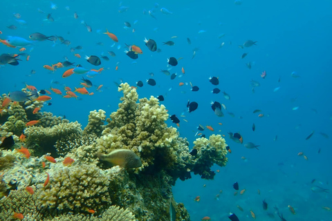 Cu Lao Cham - The Hawaii of Central Vietnam