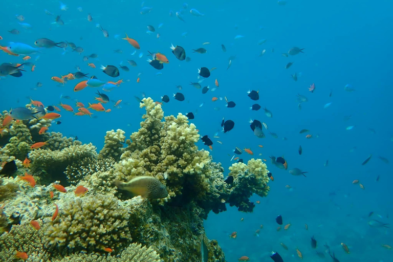 Cu Lao Cham - The Hawaii of Central Vietnam