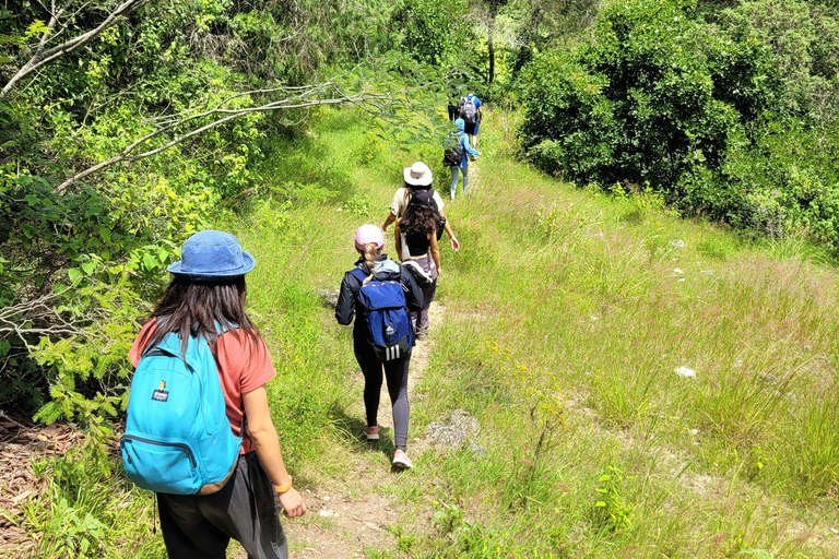 Oaxaca: Apoala Waterfalls Camping Adventure