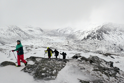 Tromsø: Guided snowshoe hill hike