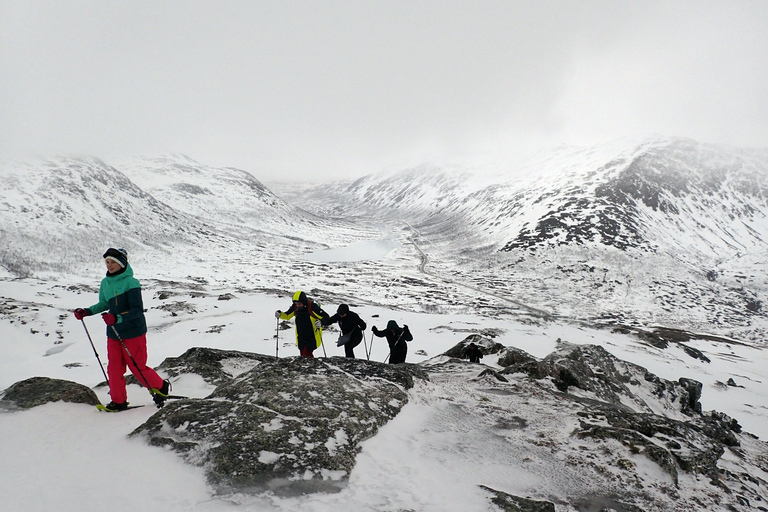 Tromsø: Guided snowshoe hill hike