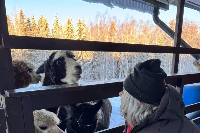 Helsinki: Alpaca Farm Tour with Guided Walk