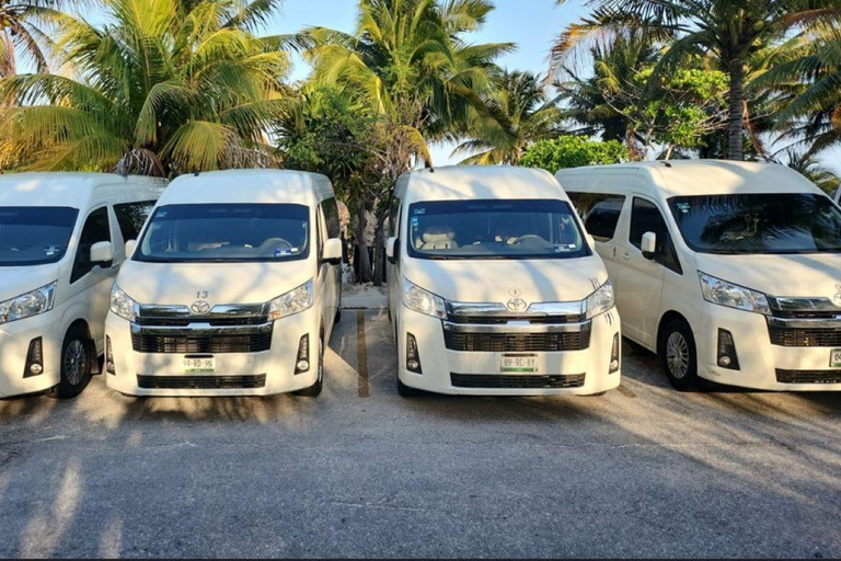Cancun: Private Transportation to Holbox Island Cancun Private Transportation to Holbox Island