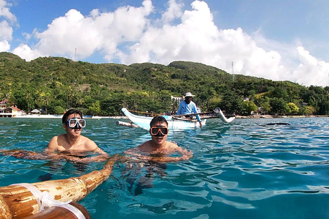 Cebu : Observation des requins-baleines, chutes de Kawasan et plongée en apnée