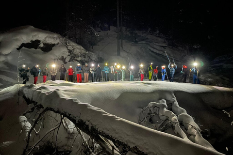 Besneeuwwandelen hele dag