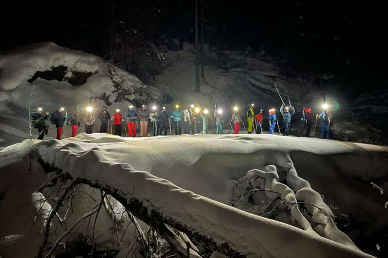 Hele dag privé sneeuwschoenwandelen