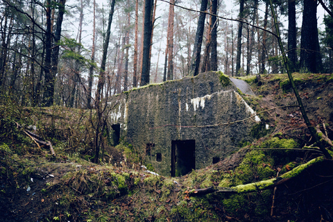 From Brussels: Bastogne Battle of the Bulge Private Tour