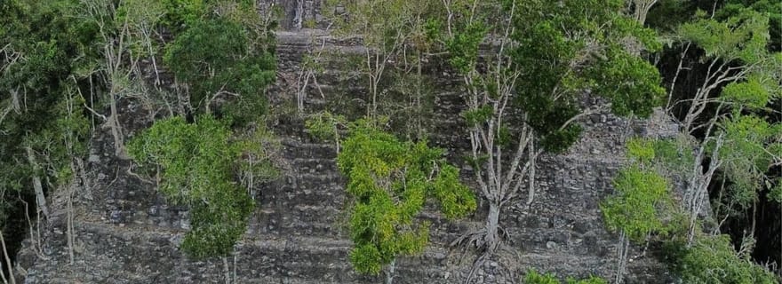 Depuis Flores : La Danta et El Mirador - Excursion d'une journée en hélicoptère