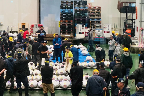 Tokyo: Toyosu Tuna Auction+Seafood Breakfast/Tsukiji Stroll Tuna Auction & Seafood Breakfast (with Meal)