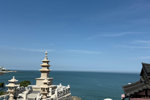 Busan: Highlights Tour with Zipline & Cable Car with Lunch