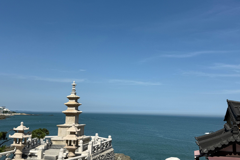 Busan: Highlights Tour with Zipline & Cable Car with Lunch