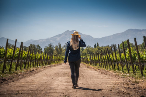 Expérience Haras : escapade dans les vignobles, vin et dégustationsExpérience Icono – 4 dégustations de vin