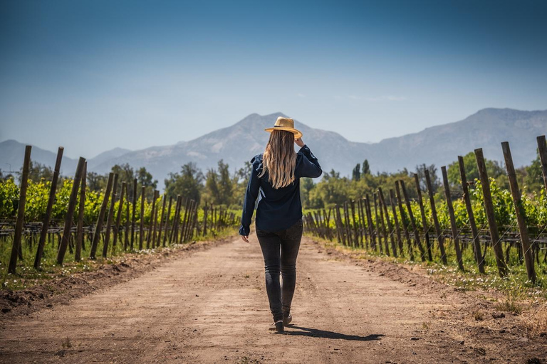 Expérience Haras : escapade dans les vignobles, vin et dégustationsExpérience Icono – 4 dégustations de vin
