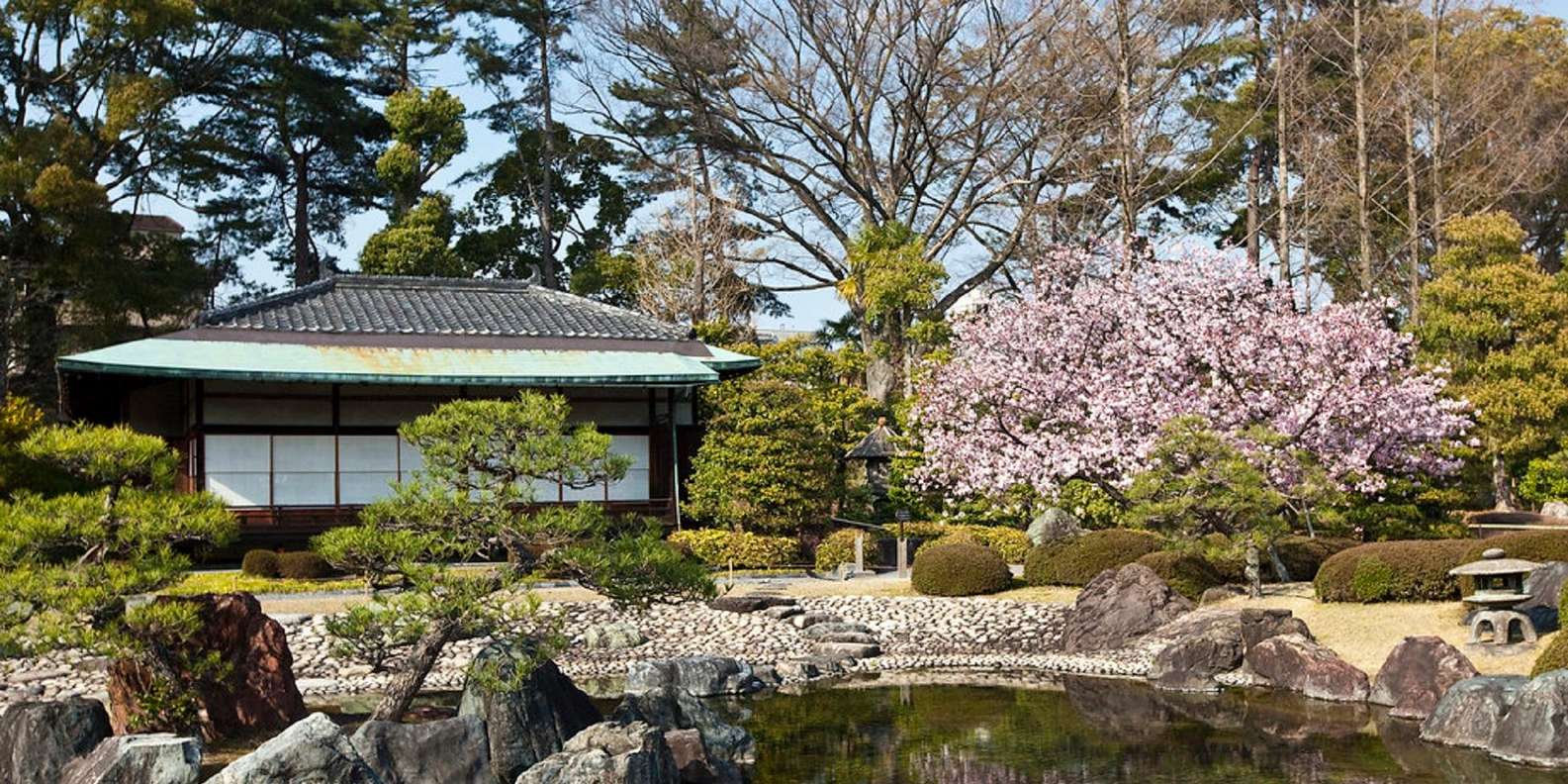 Kyoto experience — temples, geisha, bamboo grove — image 2