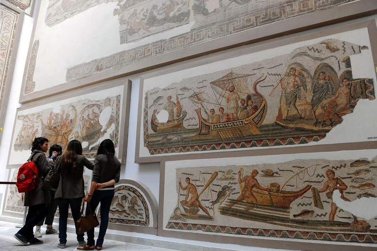 Tunis: Guided visit to the Bardo Museum, Carthage, Sidi Bou Said Shared group