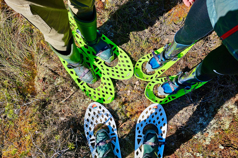Ķemeri Bogs Adventure: Explore Wetlands In Bog Shoes