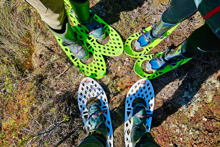 Ķemeri Bogs Adventure: Explore Wetlands In Bog Shoes