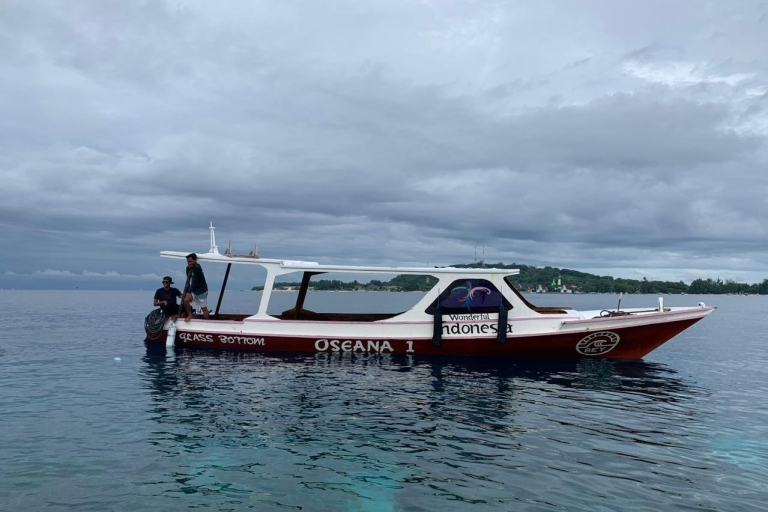 Oseana: Privé snorkeltrip Verken de prachtige Gili-oceaanOntdek de onderwaterschoonheid: snorkelavontuur op Gili