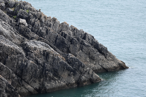 Cardiff: Private Day Trip to Mumbles and Gower Peninsula