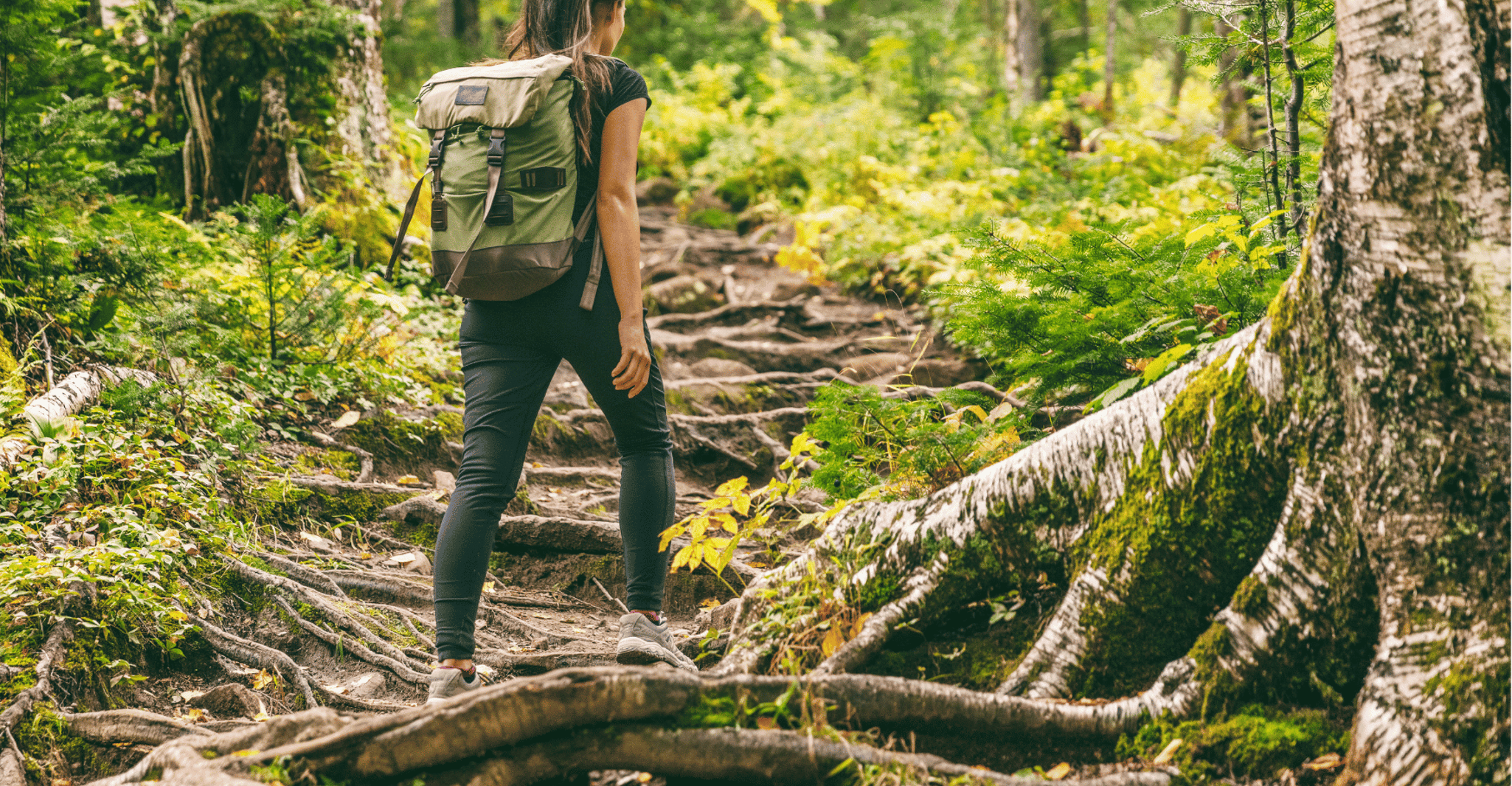 Mcleodganj Nature Trek (3 Hours Guided Walking Tour) - Housity