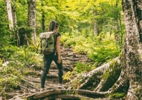 McLeodganj Nature Trek（3時間ガイド付きウォーキングツアー） - Housity