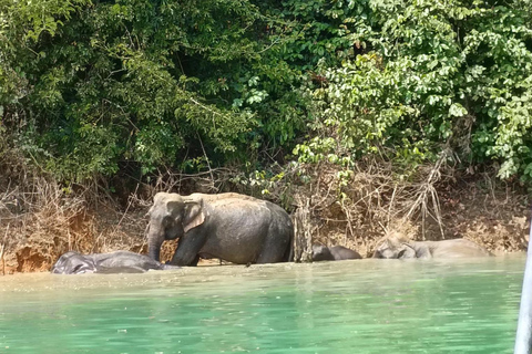 From Krabi: Unforgettable Full-Day Khao Sok Lake Adventure