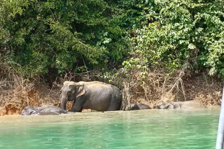 From Krabi: Unforgettable Full-Day Khao Sok Lake Adventure