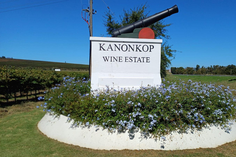 Le Cap : dégustation exclusive de vin Pinotage (visite privée)