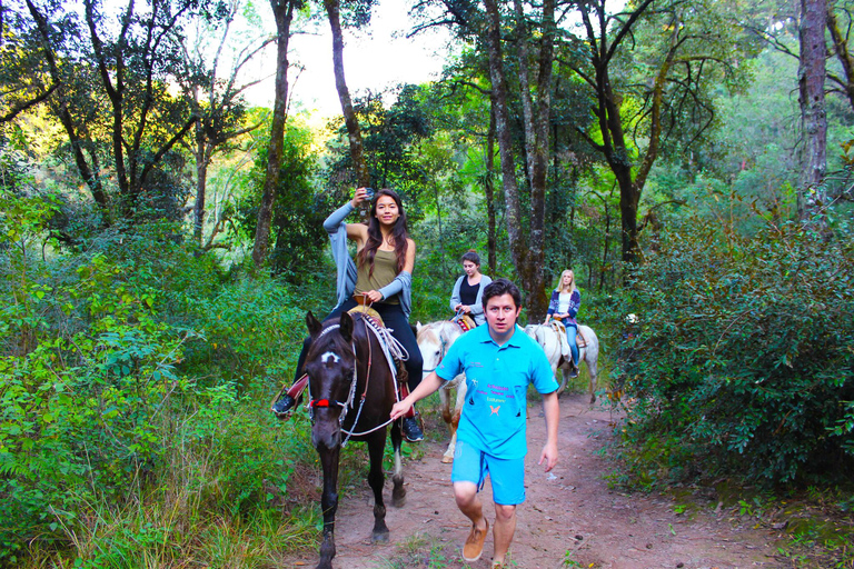 Valle de Bravo: tour a cavallo della cascata