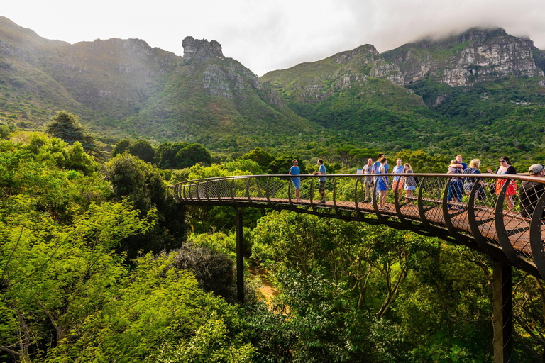 Le Cap : billet d&#039;entrée au jardin botanique de Kirstenbosch