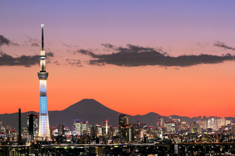 Tokyo City Tour: Private Full-Day Tour with Hotel Pickup Comfortable, air-conditioned Vellfire for 1–6 guests-8- Hour